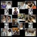 02GettingReadyHouse