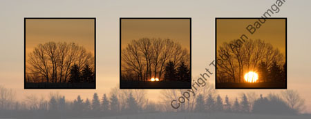 Anatomy of a Sunrise_ H