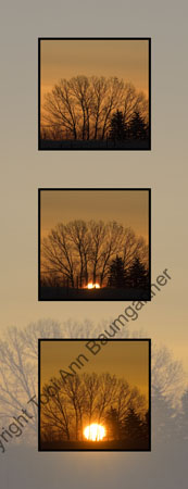 Anatomy of a Sunrise_ V