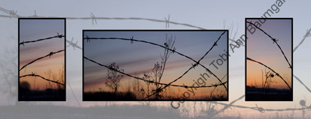 Barbedwire Sunset