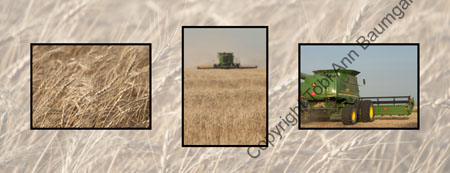 Deere At Work