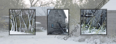 Frozen Farm