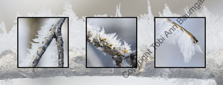 Hoarfrost