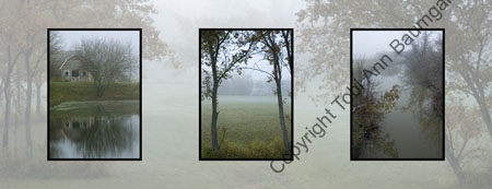 Morning Fog