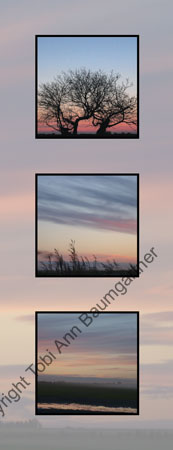 Pink Blue Sunset_ V