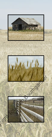 Prairie History