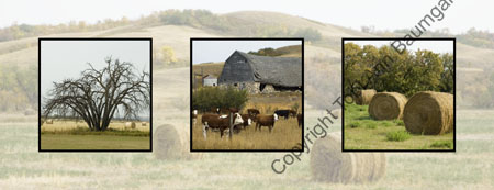 Prairie Valley