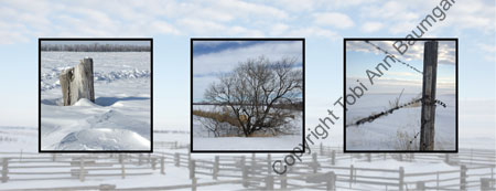 Prairie Winter