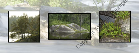 Rushing River Rocks