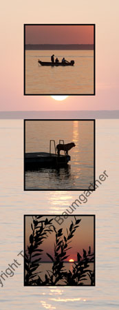 Shore Sunset
