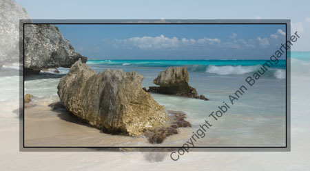 Gecko Rock
