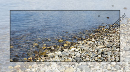 Rocky Shore