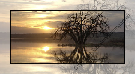 Serene Sunset
