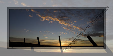 Barbed Wire Fence Sunset