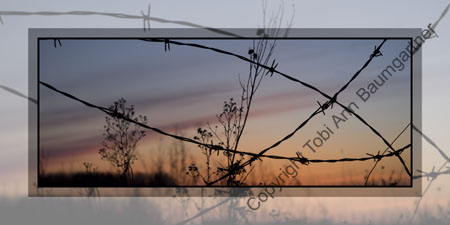 Barbed Wire Sunset