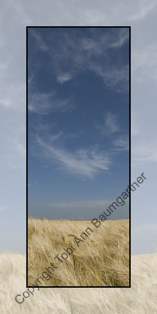 Barley Sky
