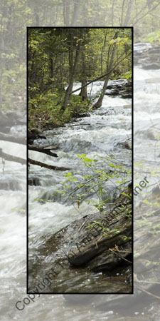 Cascading Falls