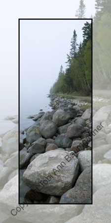 Clear Lake Shore Fog