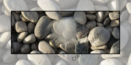 Feather Rocks
