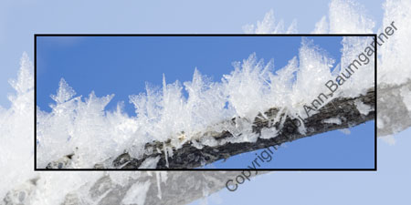Hoarfrost Blue Sky