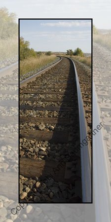 Making Tracks