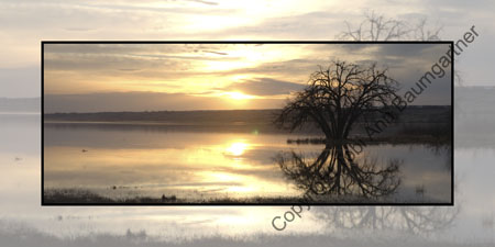 Serene Sunset