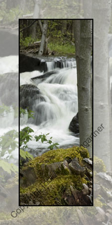 Stump Falls
