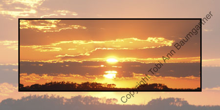 Sunny Sunset