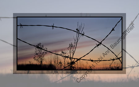 Barbed Wire Sunset