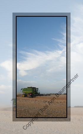 Deere in the Field
