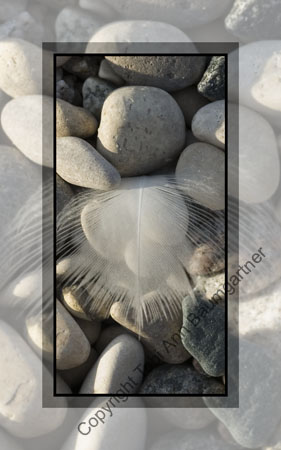 Feather Rocks
