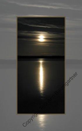 Moonlight