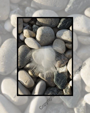 Feather Rocks