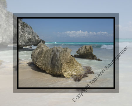 Gecko Rock