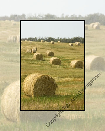 Hay Bales