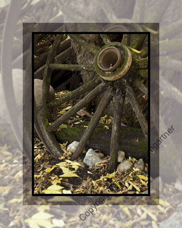 Mossy Wagon Wheel