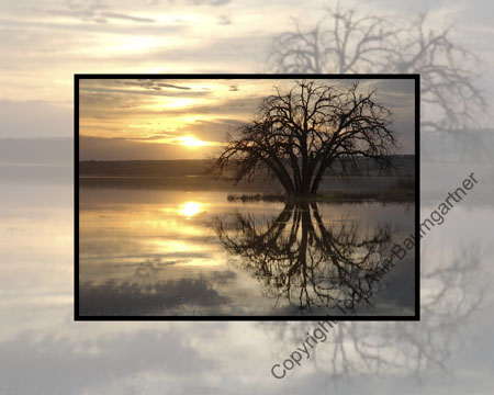 Serene Sunset