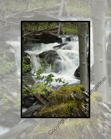 Stump Falls