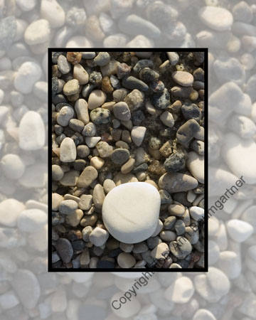 White On Rocks
